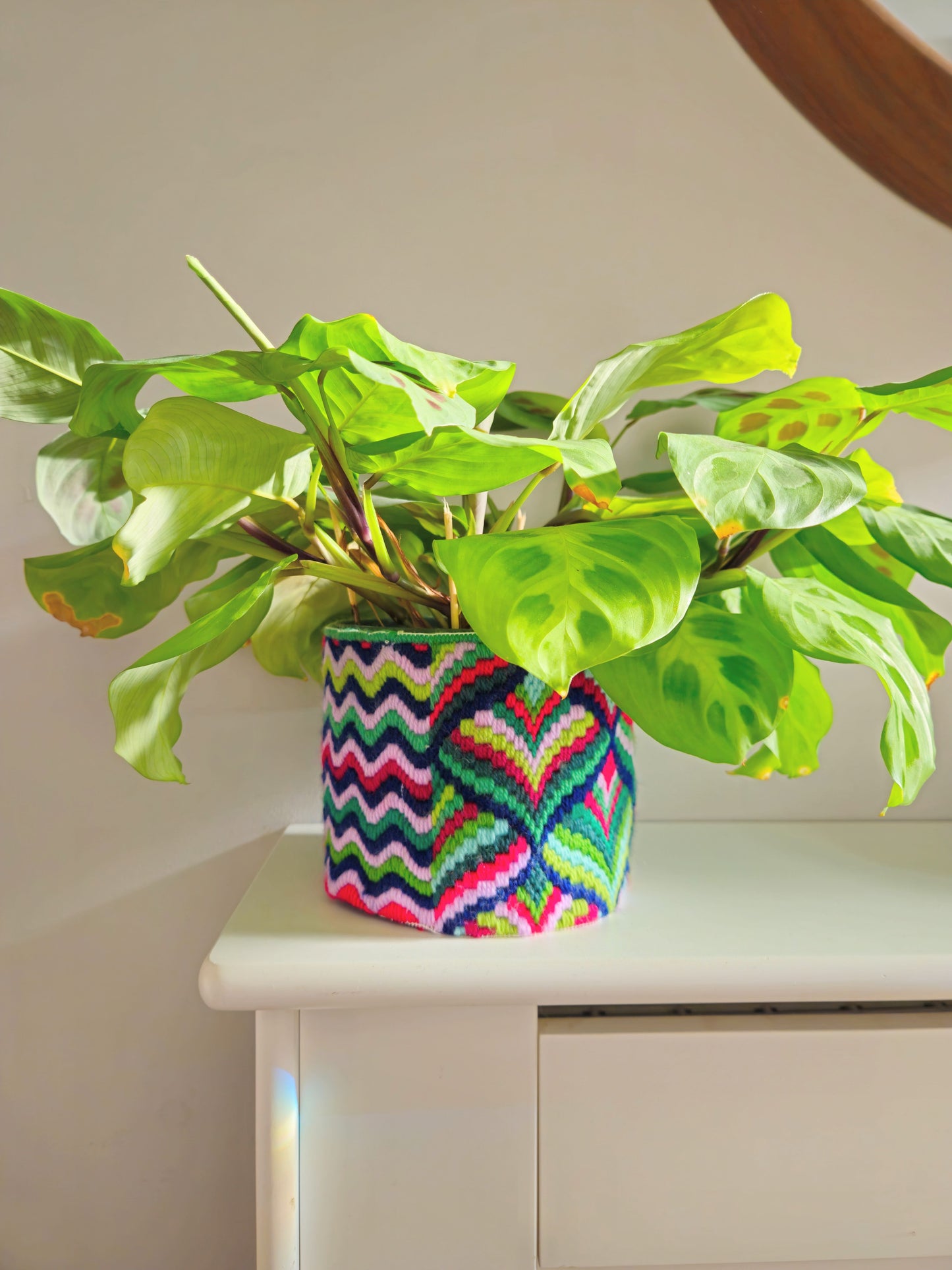 Large Plant Pot Stitch Kit by Colourflo Bargello | Needlepoint Kit | Printed Tapestry kit | DIY craft | hand sewing | canvas embroidery